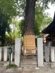 田無神社(東京都)