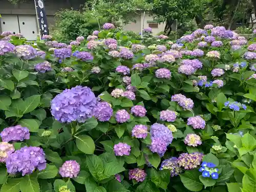 白山神社の自然