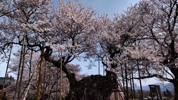 実相寺(山梨県)
