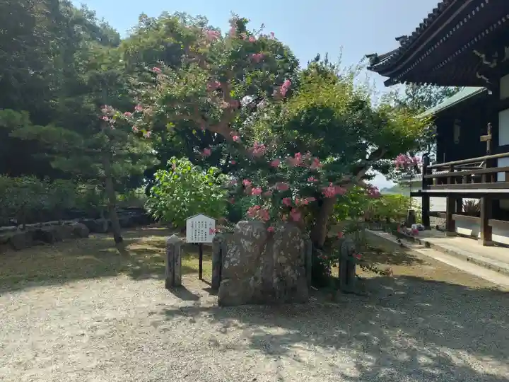 橘寺(奈良県)