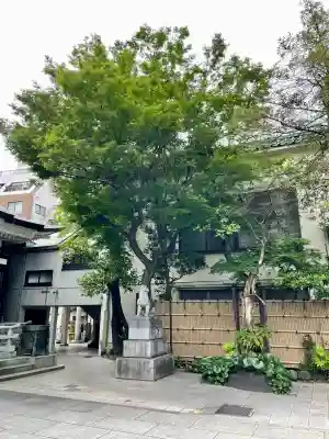 鳥越神社(東京都)