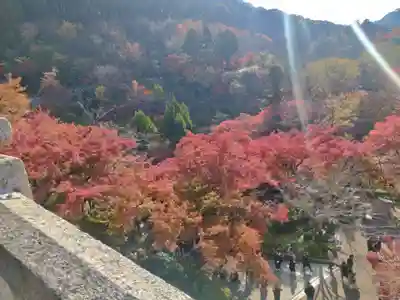 清水寺(京都府)
