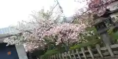 六孫王神社(京都府)