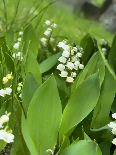 開成山大神宮(福島県)