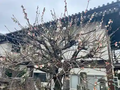 清源寺の{uncategorized: "未分類", other: "その他", undefined: "問題あり", building: "その他建物", grave: "お墓", sacred_gate: "鳥居", guardian: "狛犬", statue: "像", buddha: "仏像", history: "歴史", nature: "自然", garden: "庭園", animal: "動物", pagoda: "塔", temizu: "手水舎", mountain_gate: "山門・神門", sanctuary: "本殿・本堂", subordinate: "末社・摂社", art: "芸術", scenery: "景色", jizo: "地蔵", ema: "絵馬", goshuin: "御朱印", omikuji: "おみくじ", items: "授与品その他", amulet: "お守り", goshuincho: "御朱印帳", eats: "食事", festival: "お祭り", votive_dance: "神楽", shichigosan: "七五三参", wedding: "結婚式", experience: "体験その他", initially: "初詣", around: "周辺", anti_infection: "感染症対策"}