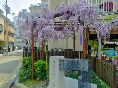 藤之宮　春日神社（野田の藤跡）(大阪府)