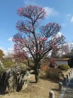 安楽寺(栃木県)