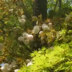 篠ｹ谷神社(岐阜県)