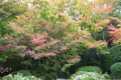 源光庵(京都府)