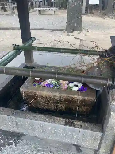 立木神社(滋賀県)