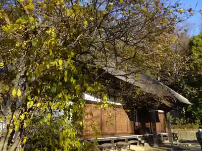 横浜 西方寺の本殿・本堂