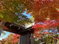 禅林寺(永観堂)の山門・神門