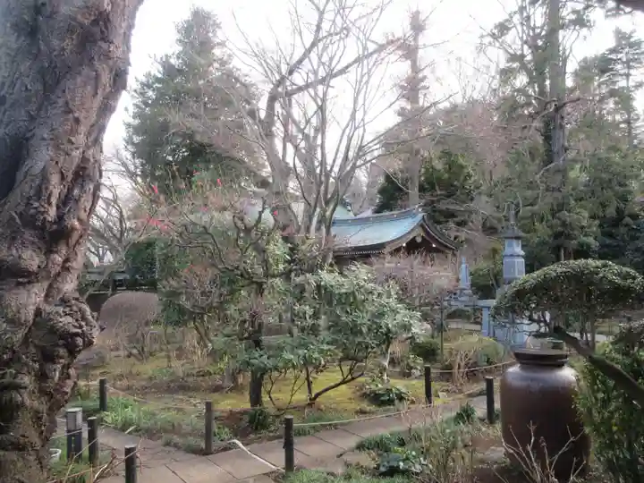妙楽寺(神奈川県)
