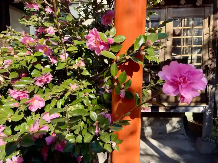 美原不動尊(東京都)