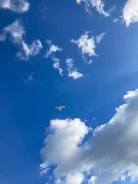 金刀比羅社(兵庫県)