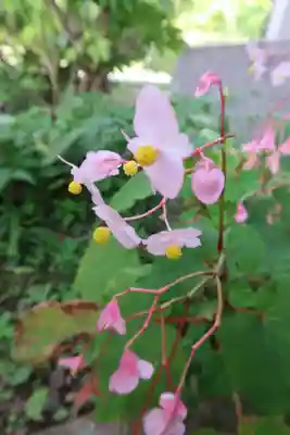 多禰寺(京都府)