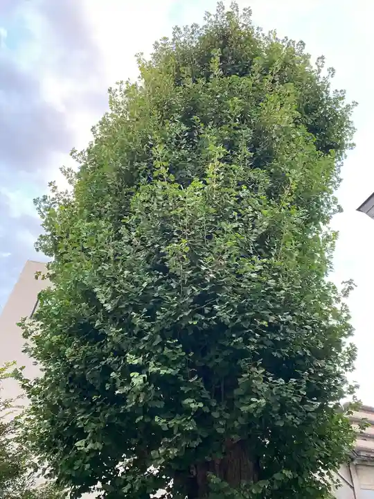 富士浅間神社(愛知県)