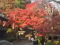 禅林坊(滋賀県)