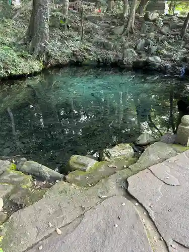 泉神社(茨城県)