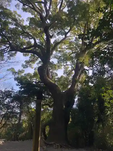 月讀宮（皇大神宮別宮）の自然