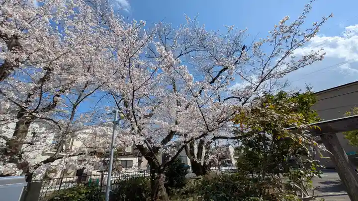 柊社(比良木社)(京都府)