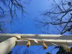 新琴似神社の建物その他