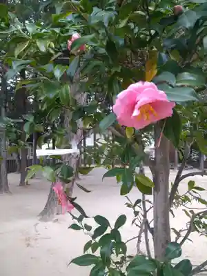 春日神社の自然