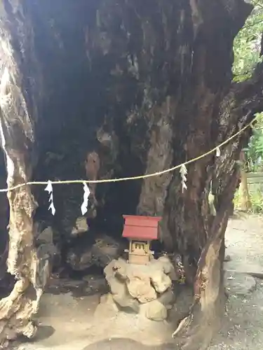 來宮神社(静岡県)