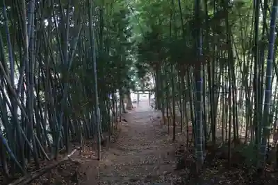 熊野神社の自然