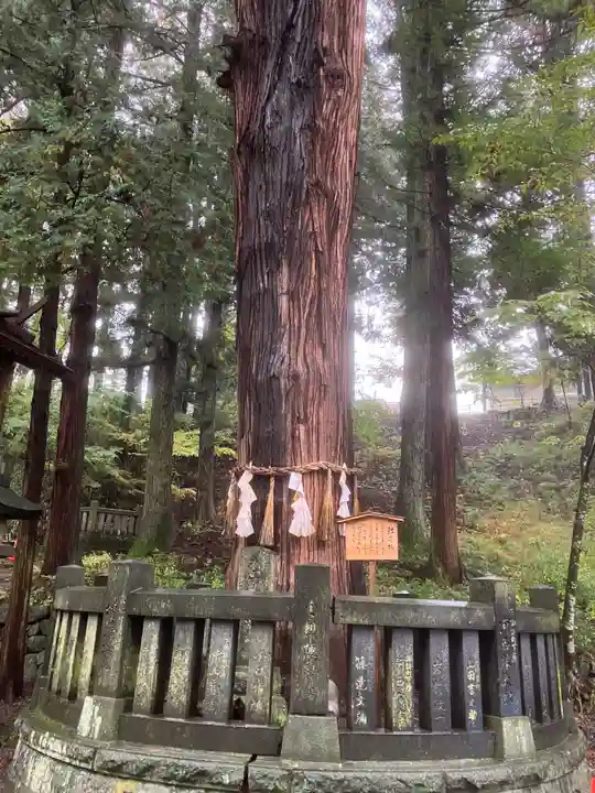 諏訪大社下社春宮(長野県)