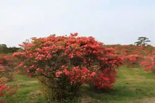 高柴山神社の景色