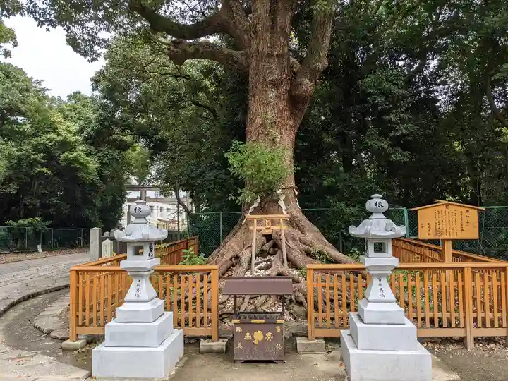 和泉國一之宮 大鳥大社(大阪府)