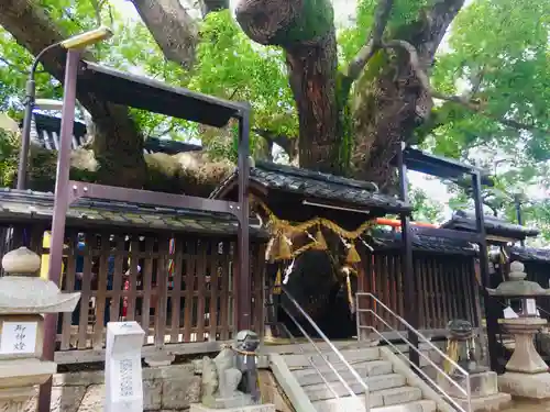 三島神社の山門