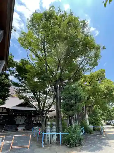 荏原神社の自然