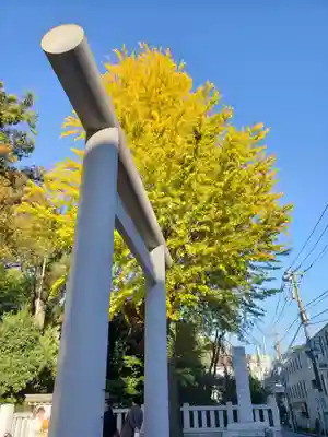 阿佐ヶ谷神明宮(東京都)