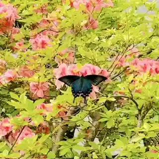 土津神社｜こどもと出世の神さま(福島県)