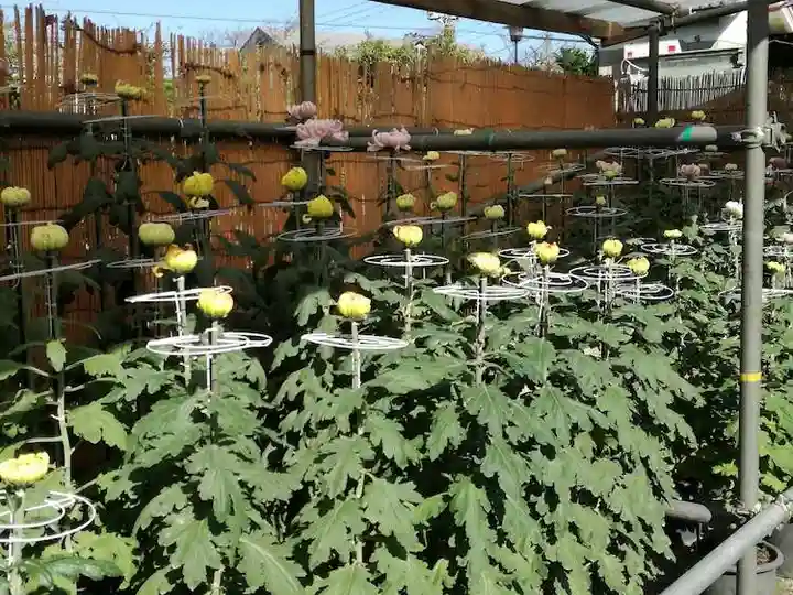 香取神社の自然