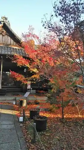 勝林寺の庭園