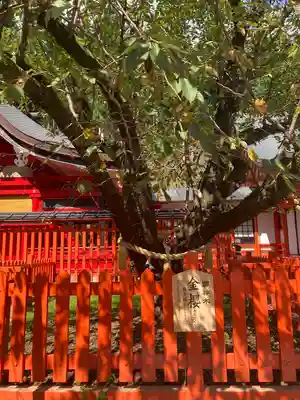 金櫻神社(山梨県)