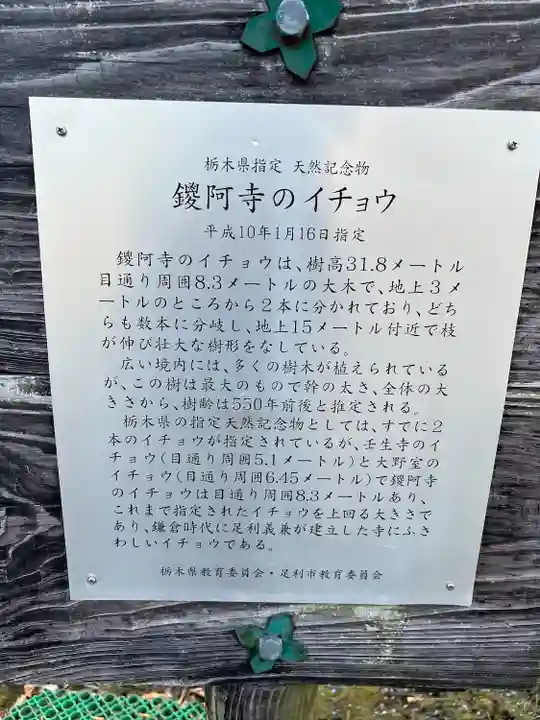 鑁阿寺(栃木県)