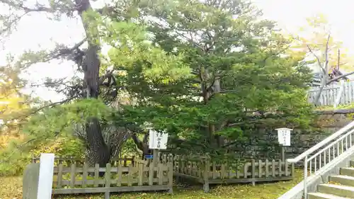 室蘭八幡宮の庭園