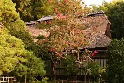 常楽寺(長野県)