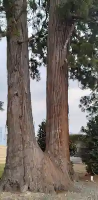 十二宮神社(宮城県)