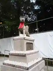 馬橋稲荷神社の狛犬