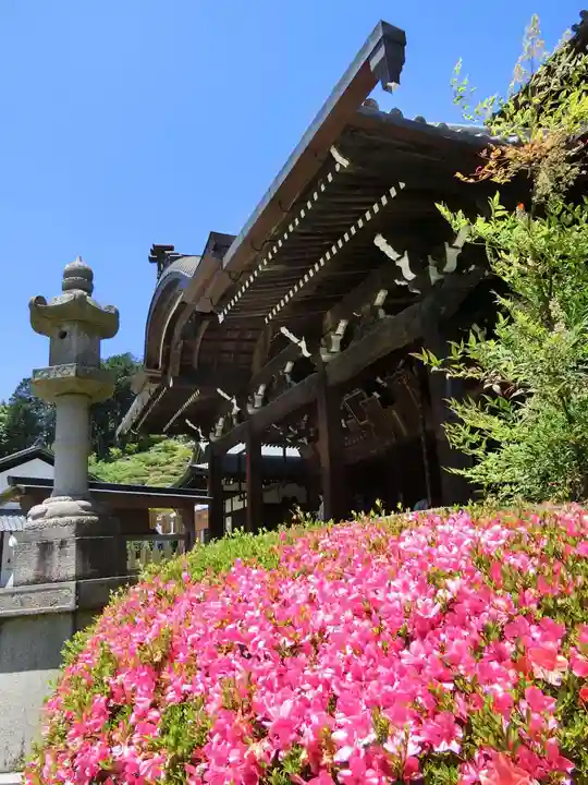 三室戸寺の本殿・本堂