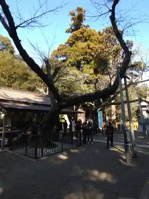息栖神社(茨城県)