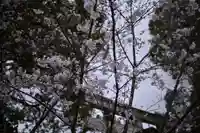 千住神社(東京都)