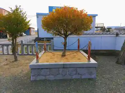 椿大神社の自然