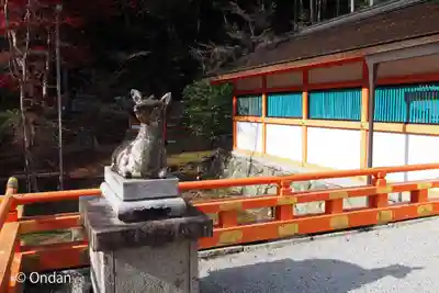 大原野神社の狛犬