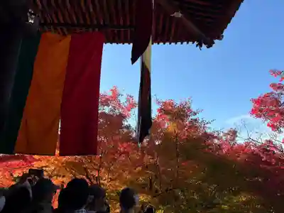 禅林寺(永観堂)(京都府)